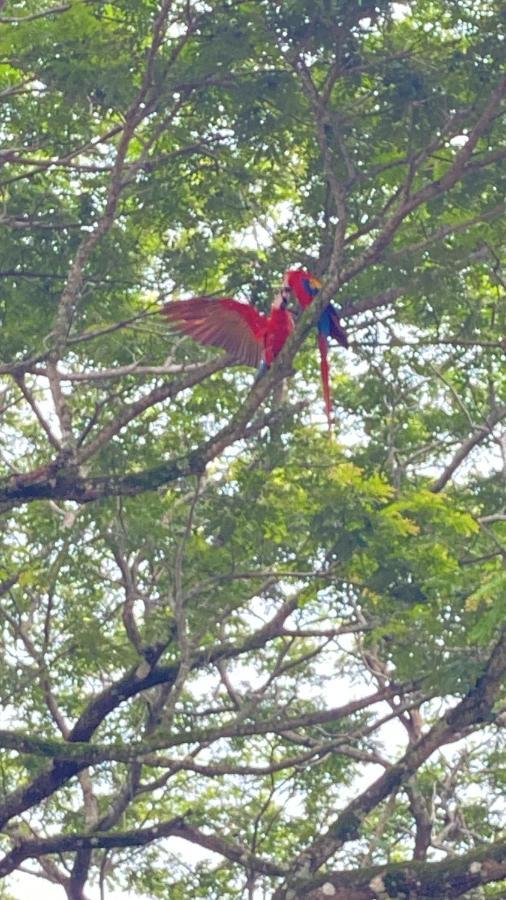 Las Plumas De Cabuya Cabuya  Εξωτερικό φωτογραφία