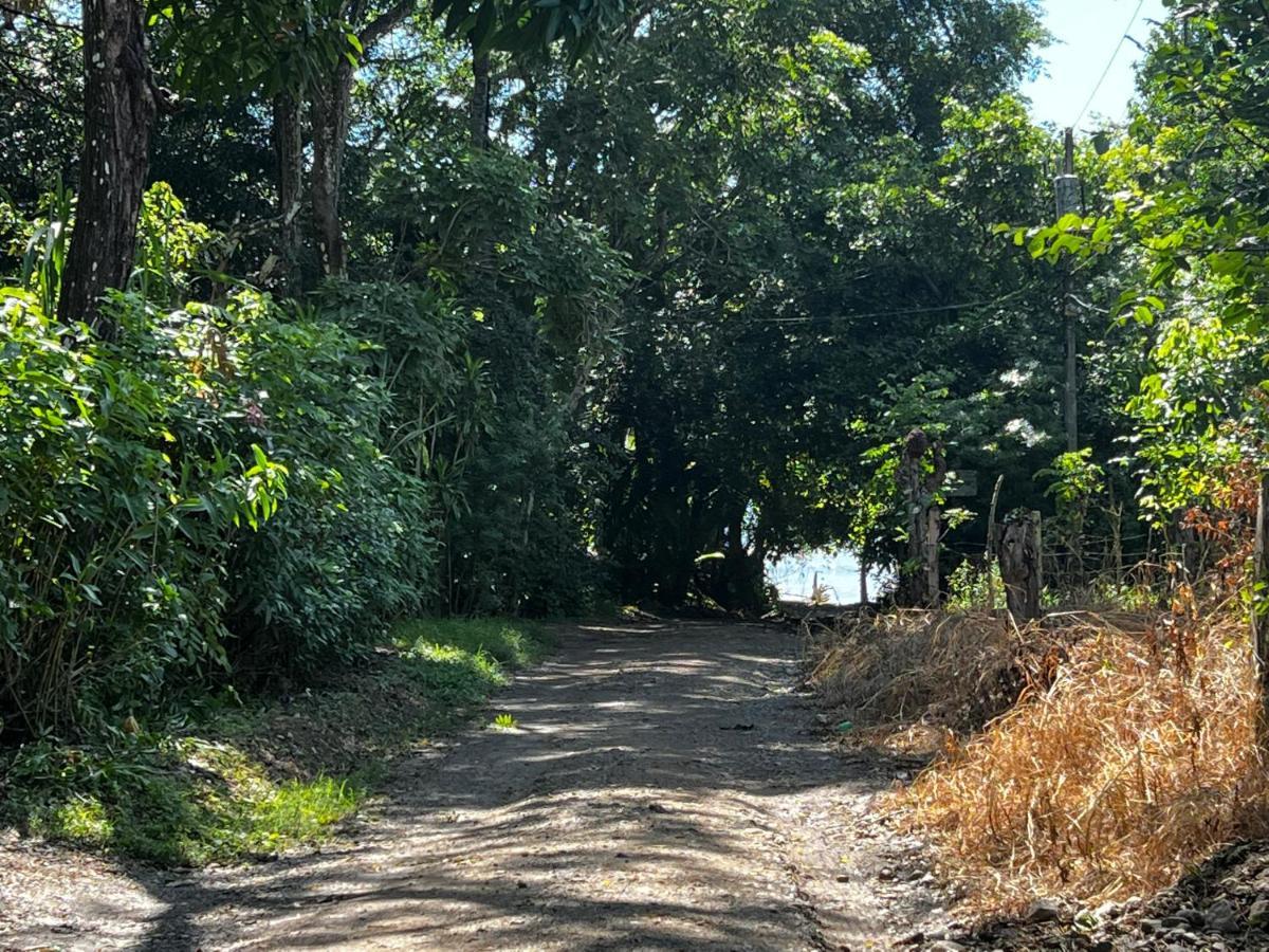 Las Plumas De Cabuya Cabuya  Εξωτερικό φωτογραφία