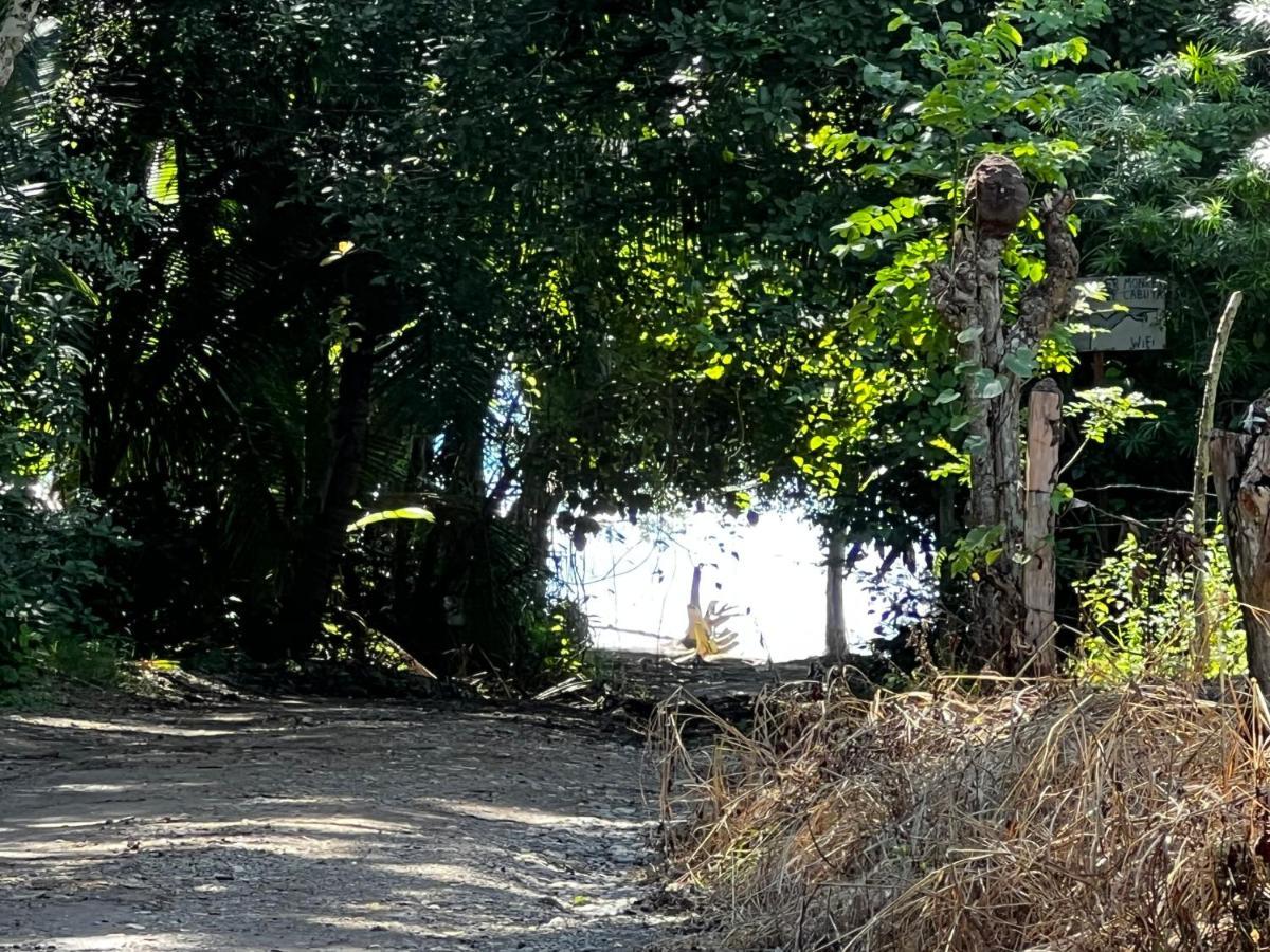 Las Plumas De Cabuya Cabuya  Εξωτερικό φωτογραφία
